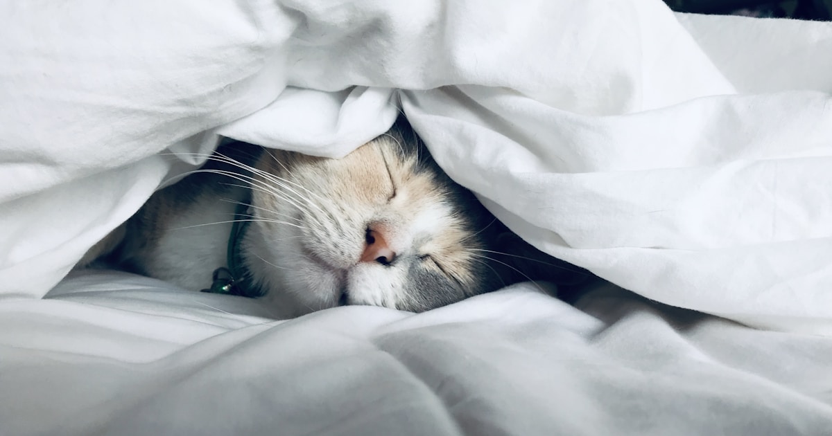 Why Sleep Is Your Secret Weapon After 50