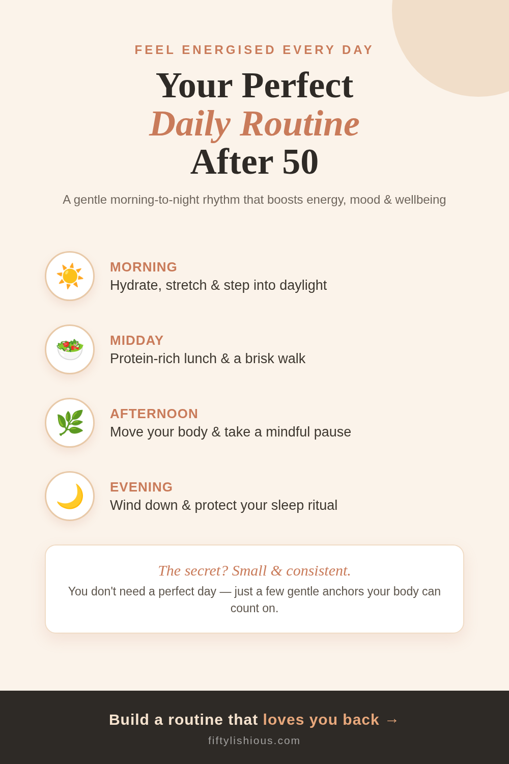Your Perfect Daily Routine After 50 — Warm Terracotta Day-Planner Timeline Pin (NEW STYLE)